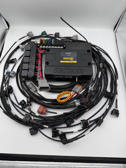 1JZ/2JZ MT Harness for Haltech Nexus S3