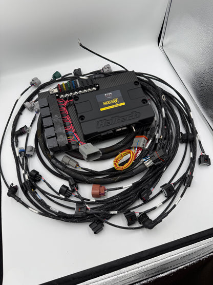 1JZ/2JZ MT Harness for Haltech Nexus S3