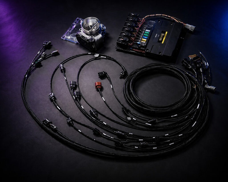 CUSTOM HARNESS